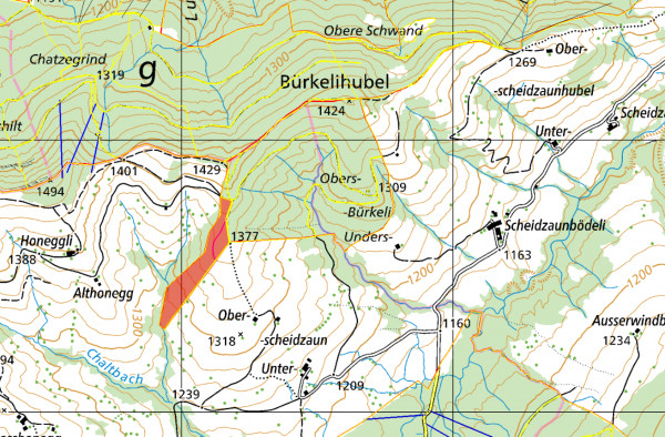 Holzschlag im Bürkeli